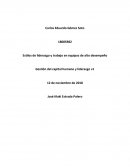 Estilos de liderazgo y trabaj o en equipos de alto desempeño