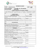 CONDUCTAS METAS DEL PPI POR ÁREAS Y SUBAREAS