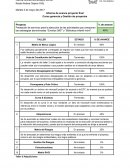 Informe de avance proyecto final. Curso gerencia y Gestión de proyectos