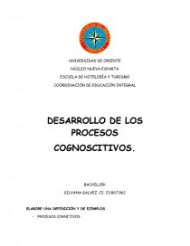 DESARROLLO DE LOS PROCESOS COGNOSCITIVOS. Página 1