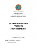 DESARROLLO DE LOS PROCESOS COGNOSCITIVOS
