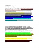 Necesidad de lagunas de regulación