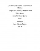 Biologia ¿Qué son los cilios?