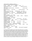 ANALISIS VERTICAL EMPRESA EL ACERO S,A