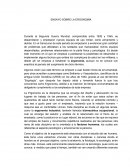 Ensayo ergonomia