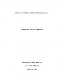 ENSAYOS SOBRE EL CARIBE Y SUS PROBLEMATICAS