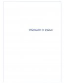 Polarización Antenas