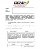 Planeacion estrategica y negocios