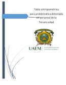 Ergonomia Segmentos corporales y equilibrio