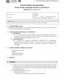 Guía de Práctica de Laboratorio. Práctica N° 2: Autoeficacia