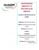 Regulación de la relación colectiva de "Experiencias Xcaret"