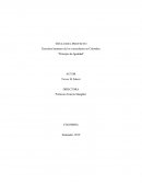 Principio de Igualdad Venezolanos en Colombia