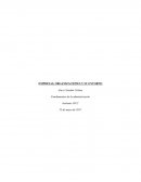 EMPRESAS, ORGANIZACIONES Y SU ENTORNO