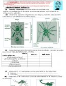EVALUACIÓN FINAL CUARTO AÑO