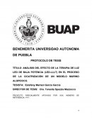 ANÁLISIS DEL EFECTO DE LA TERAPIA DE LUZ LED DE BAJA POTENCIA (LED-LLLT) EN EL PROCESO DE LA CICATRIZACIÓN DE UN MODELO MURINO ALOPECICO