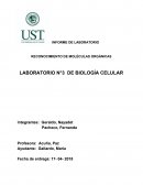 RECONOCIMIENTO DE MOLÉCULAS ORGÁNICAS LABORATORIO N°3 DE BIOLOGÍA CELULAR