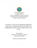 ANALISIS DE LA TECNICA DE FACTIBILIDAD DE MICROSCOPIA OPTICA PARA LA MEDICION DE EFICIENCIA DE PRODUCTOS INHIBIDORES DE INCRUSTACIONES DE CARBONATO DE CALCIO (CaCO3)