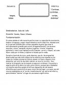 Secuencia didáctica ‘‘Cortinas, cortinitas... largas, cortas, todas distintas’’