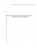 Propuesta de un plan de marketing para posicionar al café internet NETCAFÉ ubicado en Villa Ocuiltzapotlan