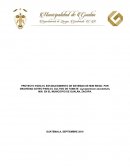 Proyecto micro riego