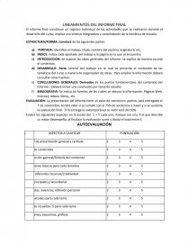 LINEAMIENTOS DEL INFORME FINAL. Página 1