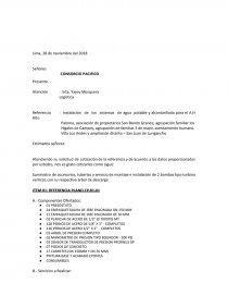 CONSORCIO PACIFICO. Página 1
