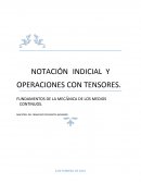 FUNDAMENTOS DE LA MECÁNICA DE LOS MEDIOS CONTINUOS