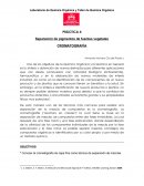 PRÁCTICA 4 Separación de pigmentos de fuentes vegetales