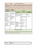 Actividad 5 diseño de estrategia