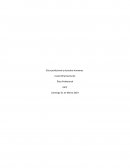 Ética profesional y derechos humanos