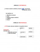 Animales vertebrados