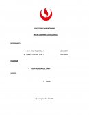 PIRÁMIDE DE INSIGHT “ CAMPAÑA CONTIGO PERÚ - BCP”