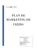Plan de marketing empresa Vizzio