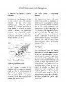 DIVISIÓN Euglenophyta CLASE Euglenophyceae