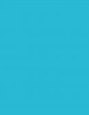 PROYECTO DE CÍVICA. Importancia del rescate animal en Costa Rica