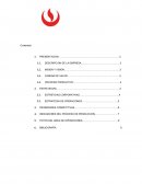 Caso empresa Arquee S.A.C