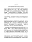 Practica ¿Cuáles son las concecuencias del plagio?
