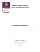 Enfoque por competencias. La Educación Basada en Competencias