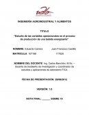 Estudio de las variables operacionales en el proceso de producción de una bebida energizante