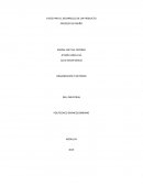 FASES PARA EL DESARROLLO DE UN PRODUCTO