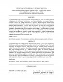 MOLLUSCA Y ACANTOCEPHALA