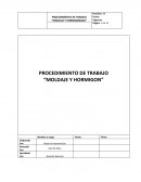 PROCEDIMIENTO DE TRABAJO “MOLDAJE Y HORMIGON”