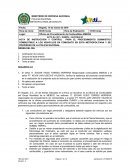 Acta de instrucción y control para el procedimiento suministro combustible a los vehiculos en Comodato