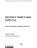 RÉGIMEN TRIBUTARIO ESPECIAL PERSPECTIVA DESDE LA REFORMA TRIBUTARIA