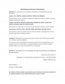 Marketing para Servicios Profesionales