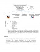 VANGUARDÍAS ARTÍSTICAS DEL SIGLO XX