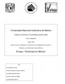 LA ESCLAVITUD EN MÉXICO