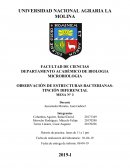 MICROBIOLOGIA OBSERVACIÓN DE ESTRUCTURAS BACTERIANAS- TINCIÓN DIFERENCIAL