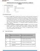 PROGRAMACIÓN ANUAL DE CIENCIA TECNOLOGIA Y AMBIENTE (FÍSICA)