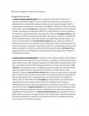 Irrigacion cardiaca